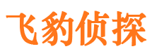 左云寻人公司